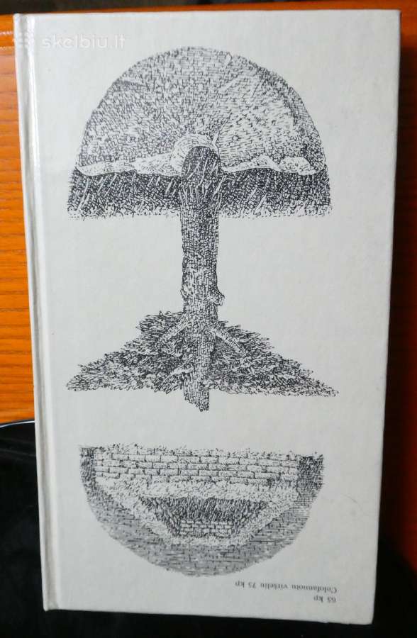 Knyga. Marcelijus Martinaitis, V.braziūnas - nuotraukos Nr. 8