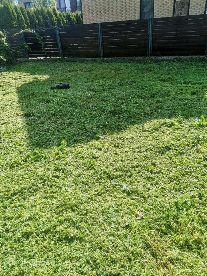 Žolės pjovimas trimeriu ir su žoliapjove. - nuotraukos Nr. 11