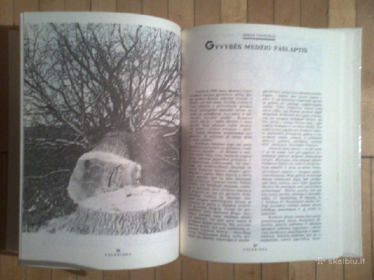 Ekologijos ir kulturos almanachas "kulgrinda"1990m - nuotraukos Nr. 3
