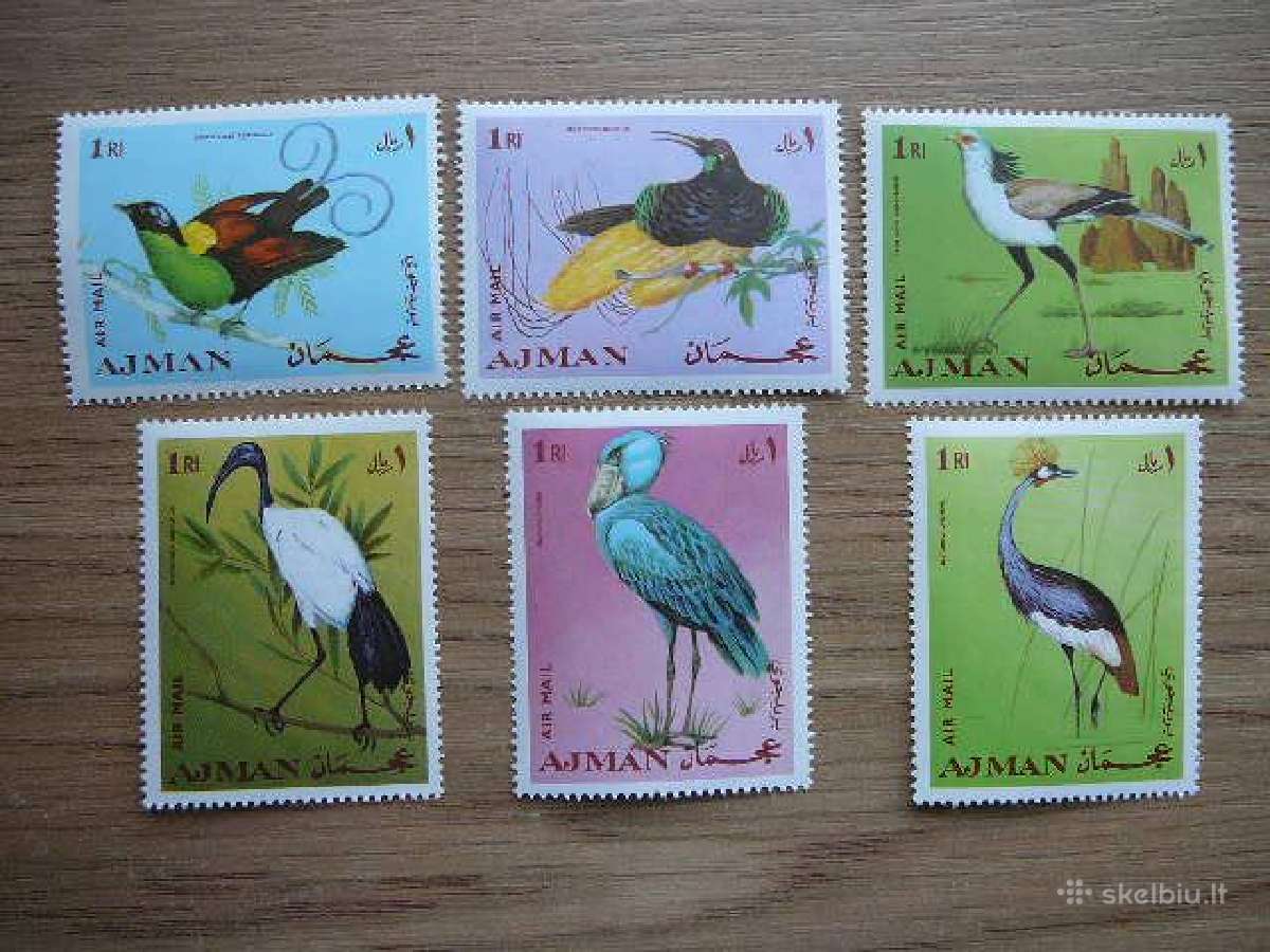 Pauksciai Ajmanas 1969 svarus ajm777