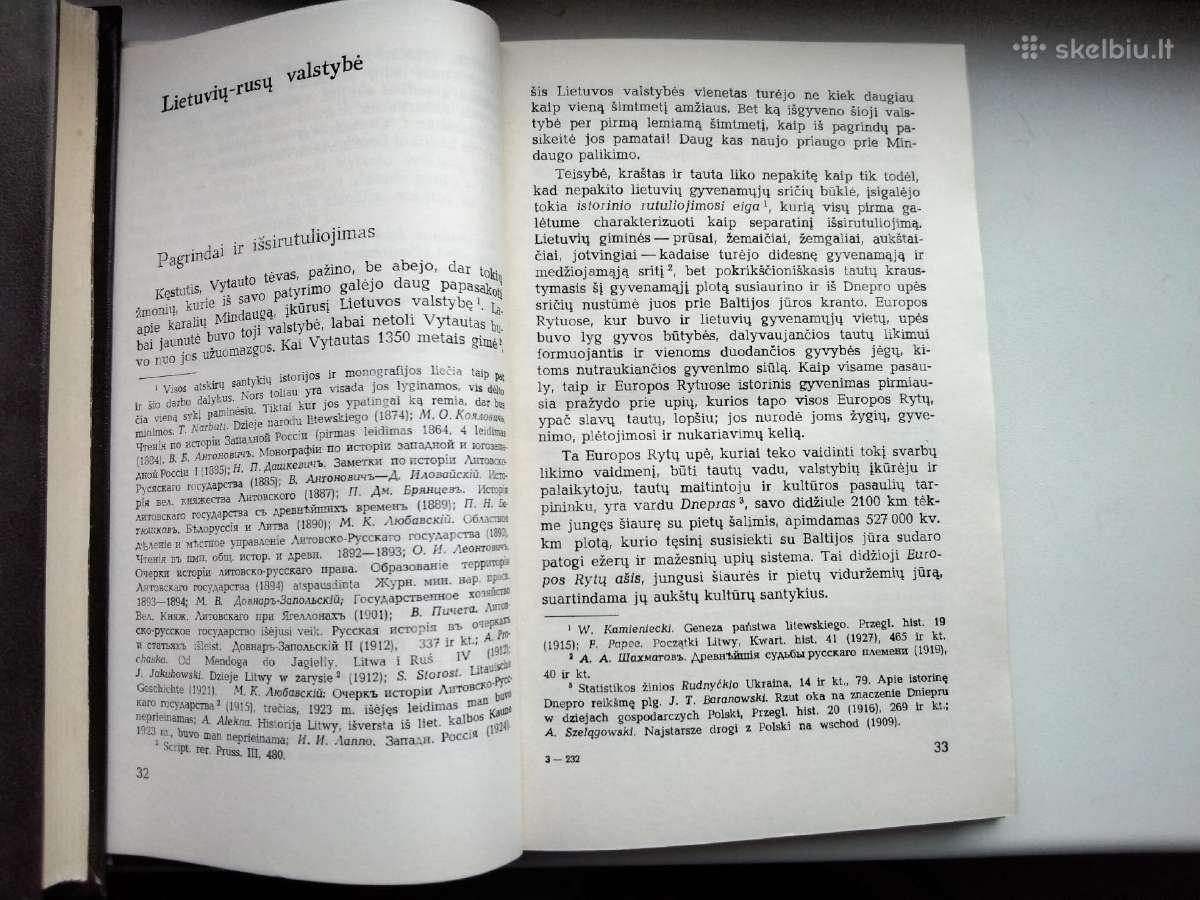 J. Pficneris. Vytautas kaip politikas - nuotraukos Nr. 7