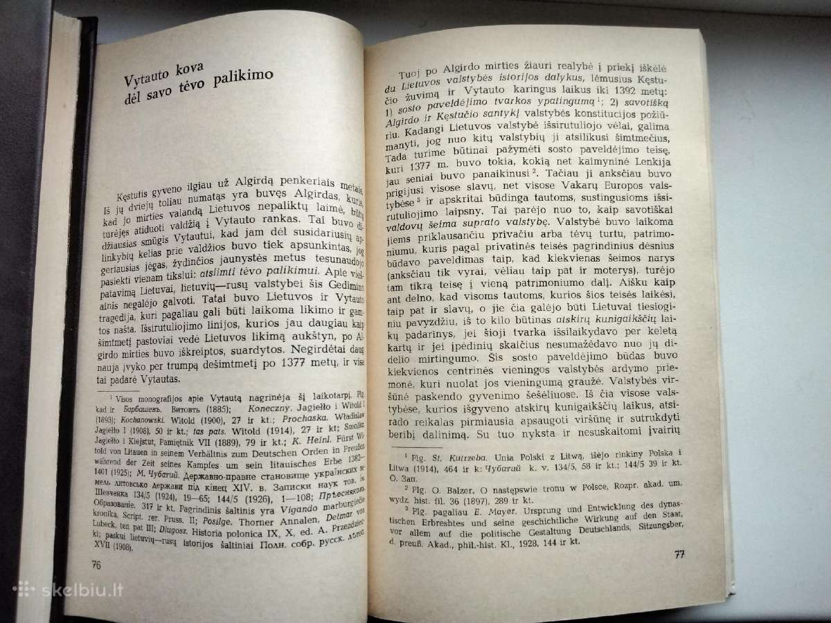 J. Pficneris. Vytautas kaip politikas - nuotraukos Nr. 8