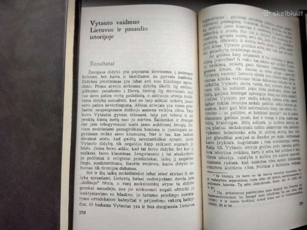 J. Pficneris. Vytautas kaip politikas - nuotraukos Nr. 11