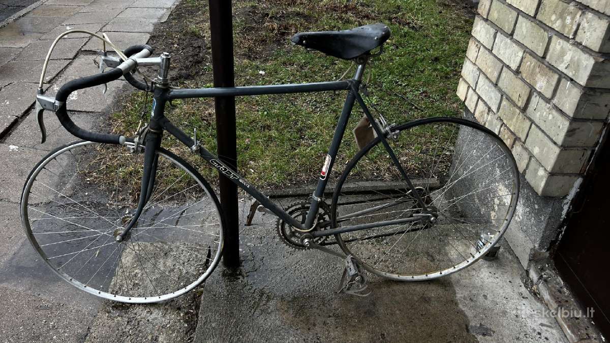 Nevažinėtas plentinis, vintage dviratis