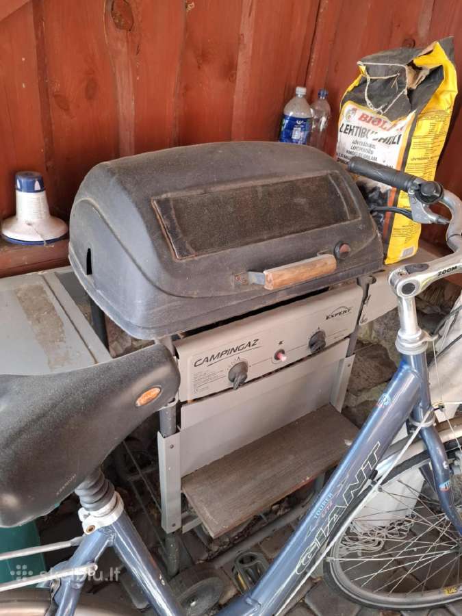Dujinis bbq grilis kepsnine