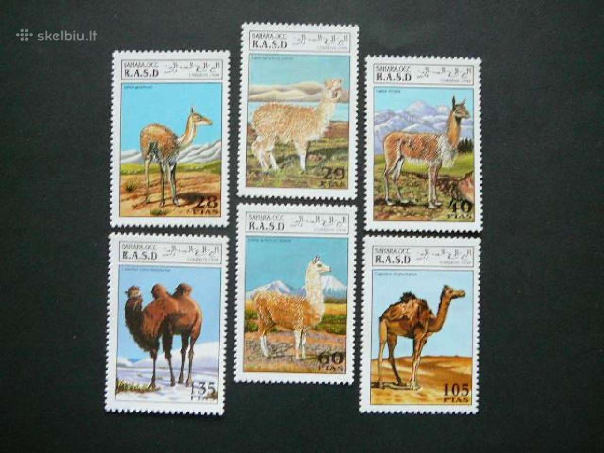 Kupranugariai Lamos Sahara 1994 svarus sh67