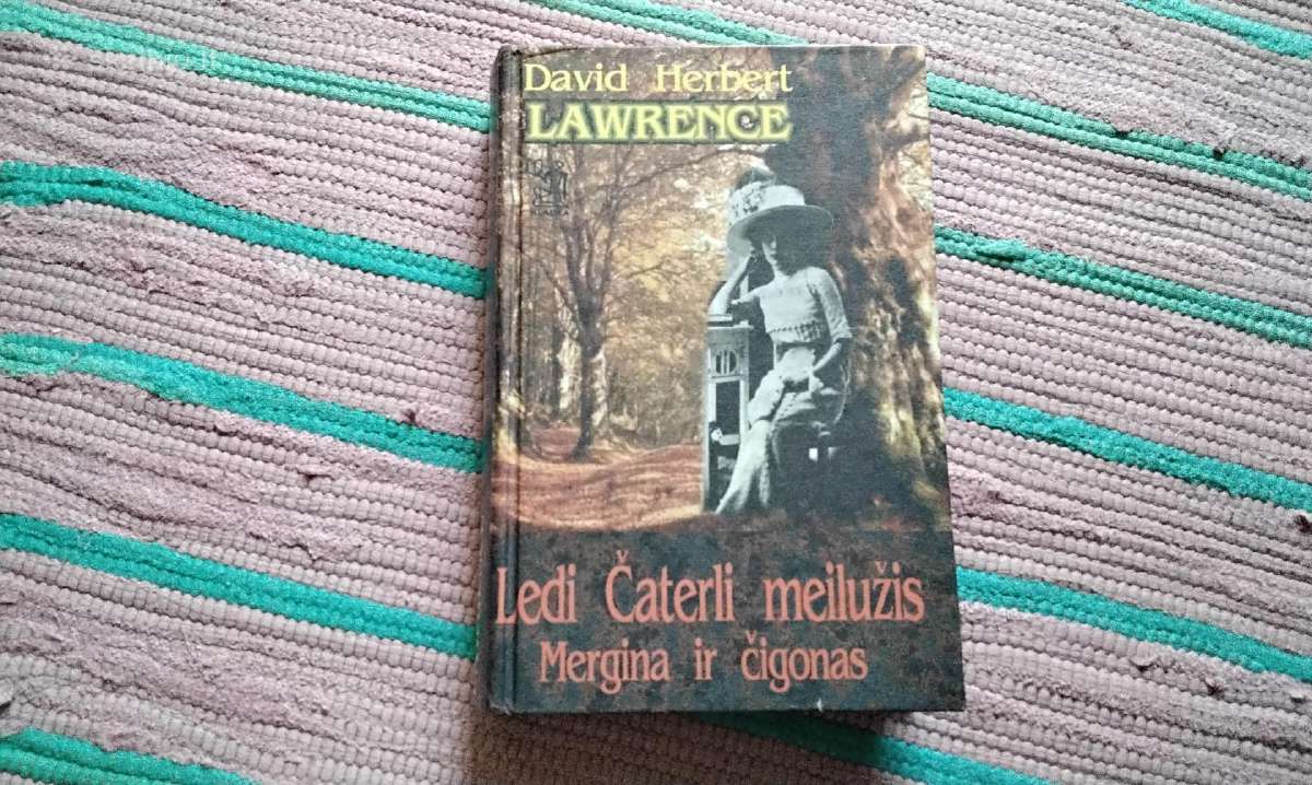 Ledi Čaterli meilužis. Mergina ir čigonas David He