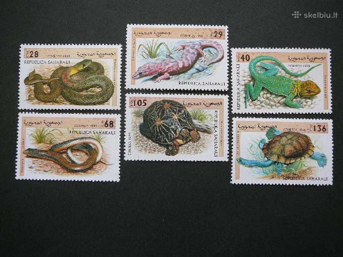 Gyvates Vezliai Sahara 1998 Mnh sh18