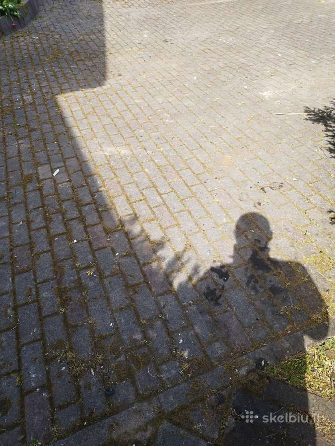 Stogų, fasadų valymas ir tinklų montavimas - nuotraukos Nr. 17