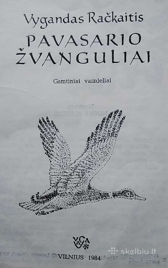 Pavasario žvanguliai - nuotraukos Nr. 2