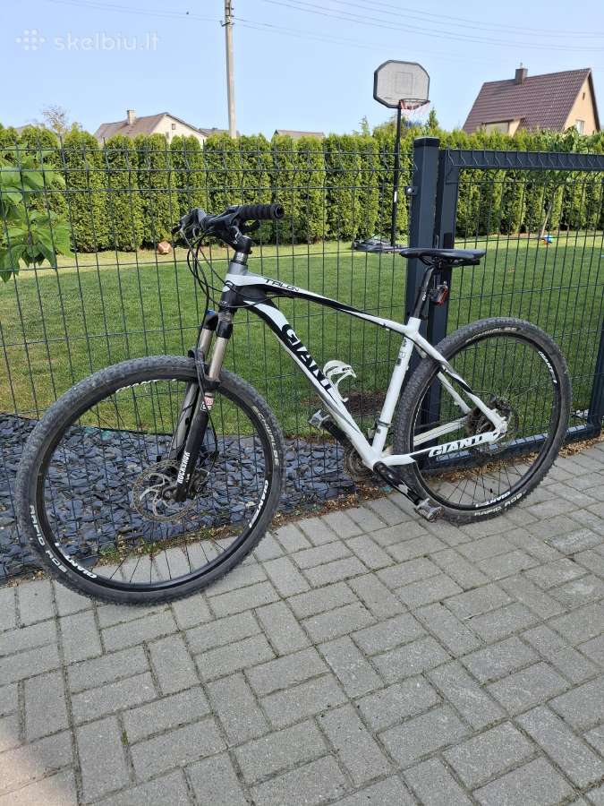 Dviratis giant talon - nuotraukos Nr. 2