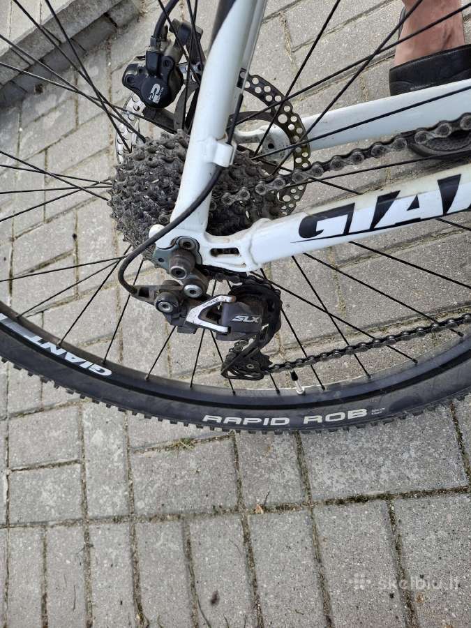 Dviratis giant talon - nuotraukos Nr. 3