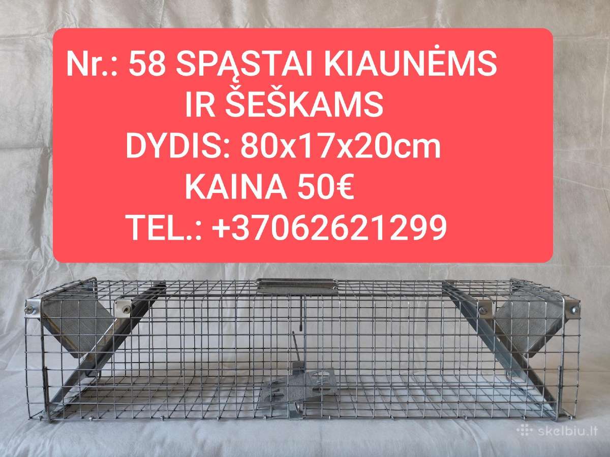 Gyvagaudžiai spąstai Turime Vietoje - nuotraukos Nr. 5