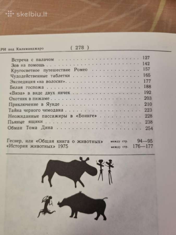 Safari šalia Kilimandžaro - nuotraukos Nr. 5