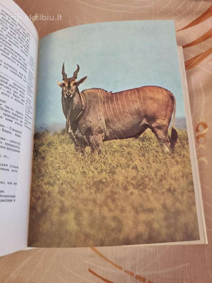 Safari šalia Kilimandžaro - nuotraukos Nr. 7
