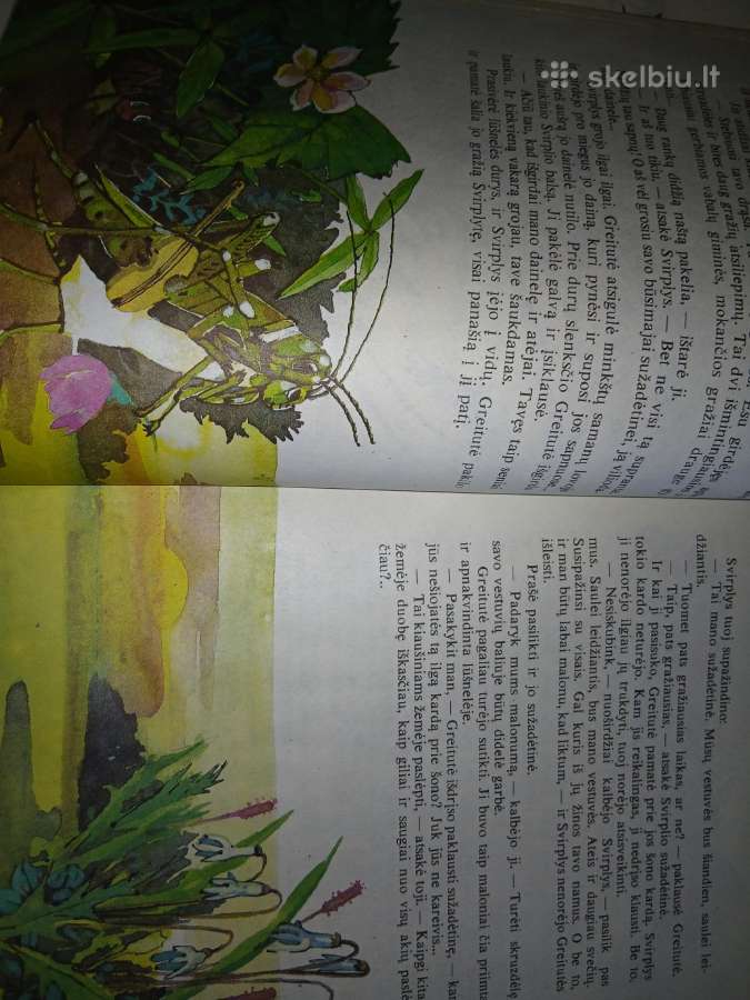 Skruzdelytes Greitutės nuotykiai - nuotraukos Nr. 4