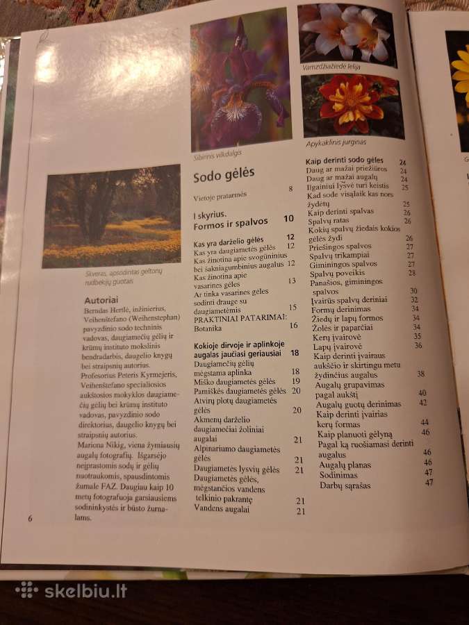 Sodo gėlės. Puikus žinynas - nuotraukos Nr. 2