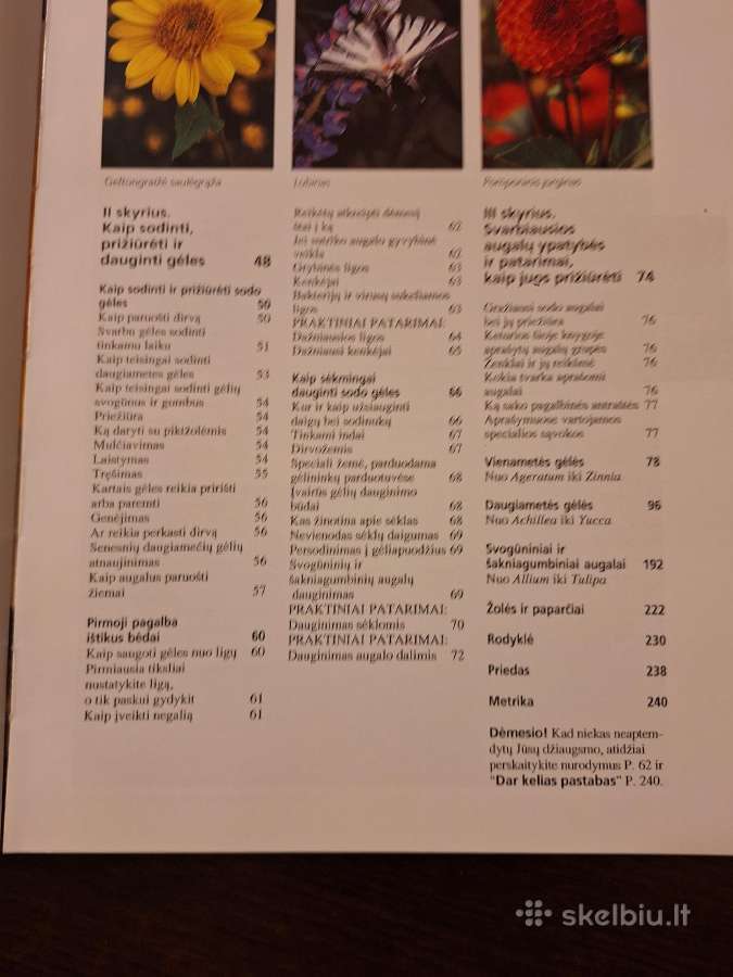 Sodo gėlės. Puikus žinynas - nuotraukos Nr. 3