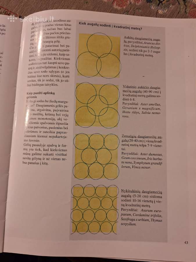 Sodo gėlės. Puikus žinynas - nuotraukos Nr. 4