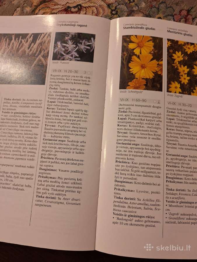 Sodo gėlės. Puikus žinynas - nuotraukos Nr. 5