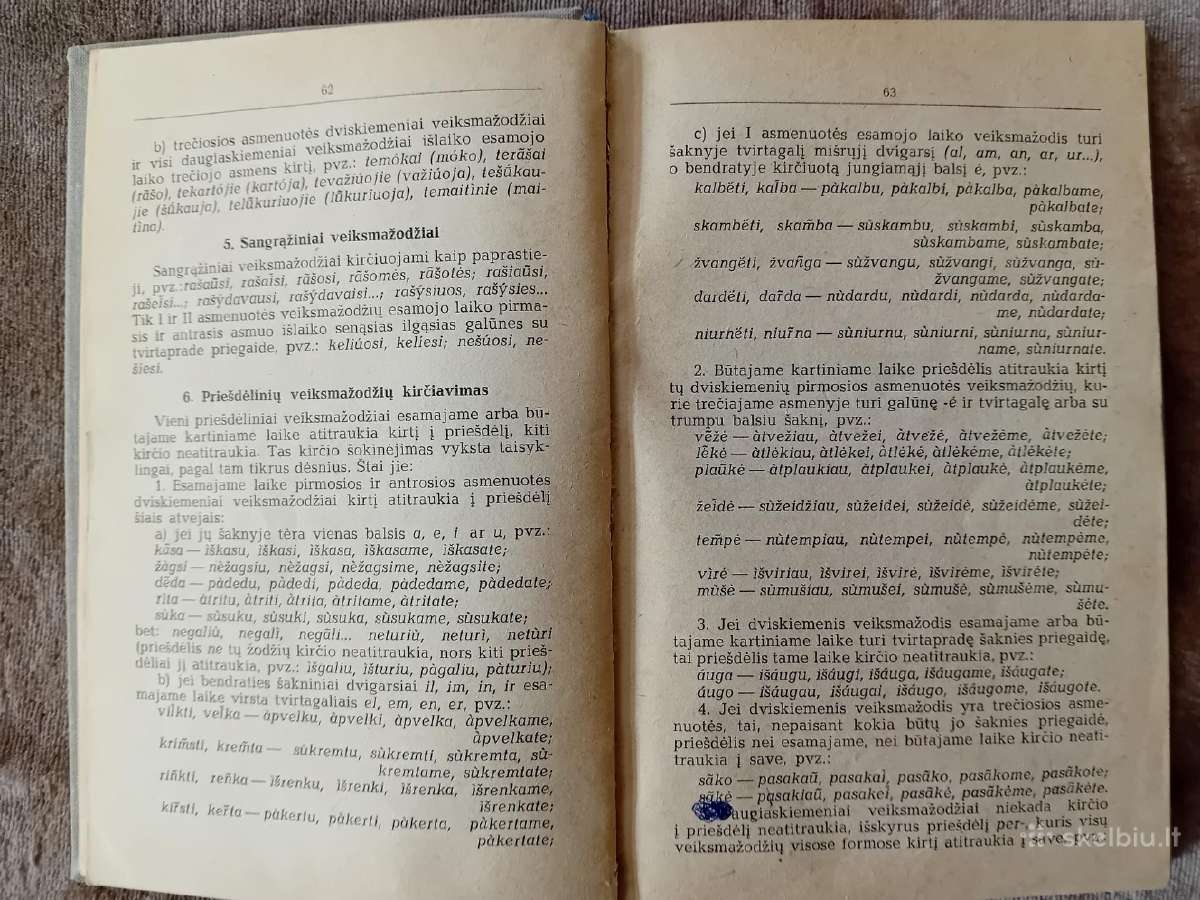Lietuvių kalbos rašybos žodynas mokykloms - nuotraukos Nr. 9