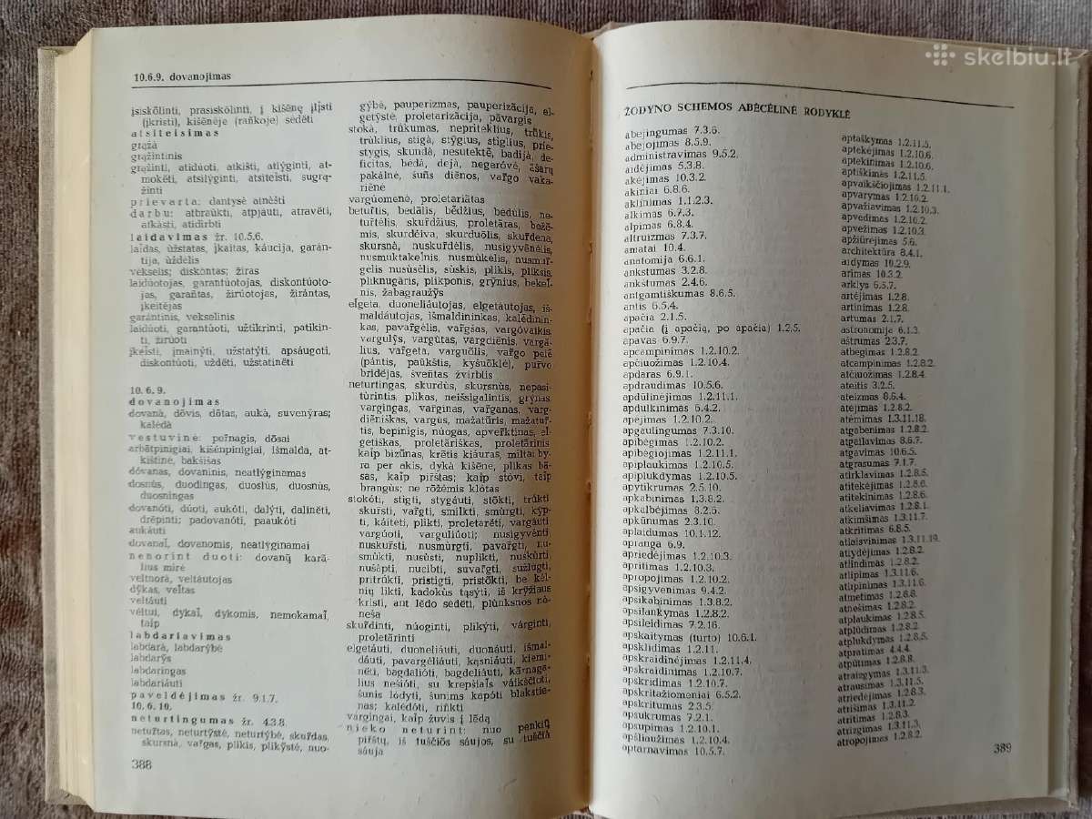 Sisteminis lietuvių kalbos žodynas - nuotraukos Nr. 11