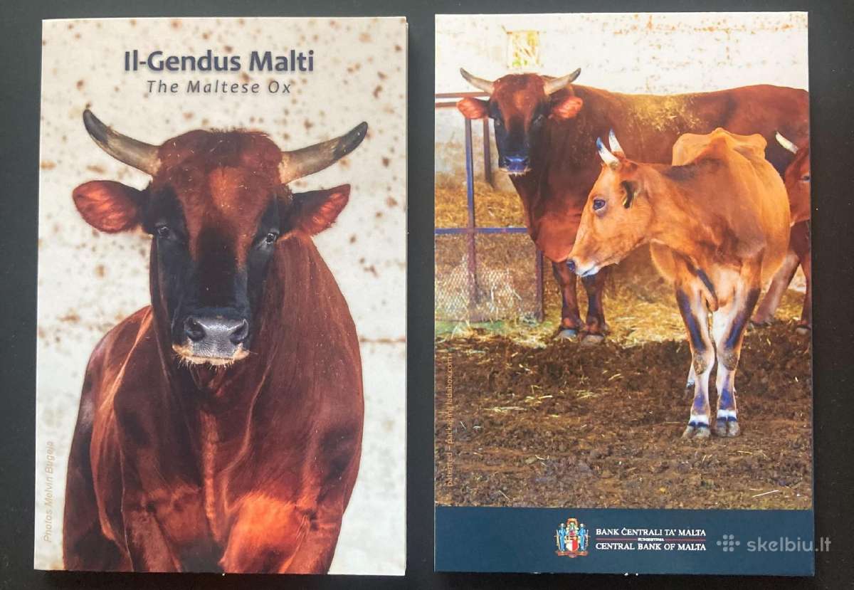Malta 2025 rinkinys, 2€ monetos - nuotraukos Nr. 4