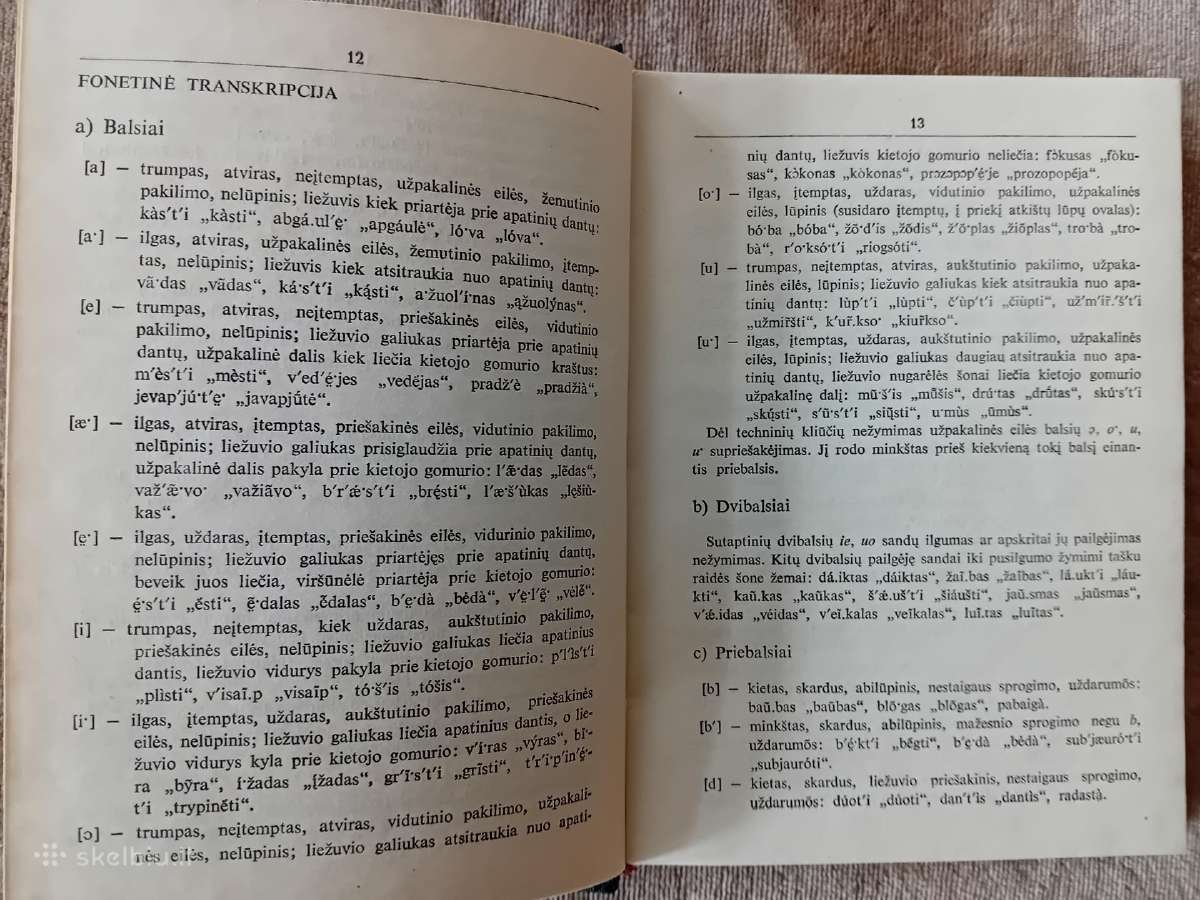 Lietuvių kalbos dažninis ir tarties žodynai - nuotraukos Nr. 12