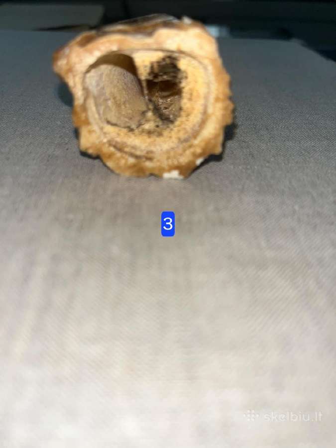 Japoniškos figürėlės iš akmens ir kaulo - nuotraukos Nr. 4