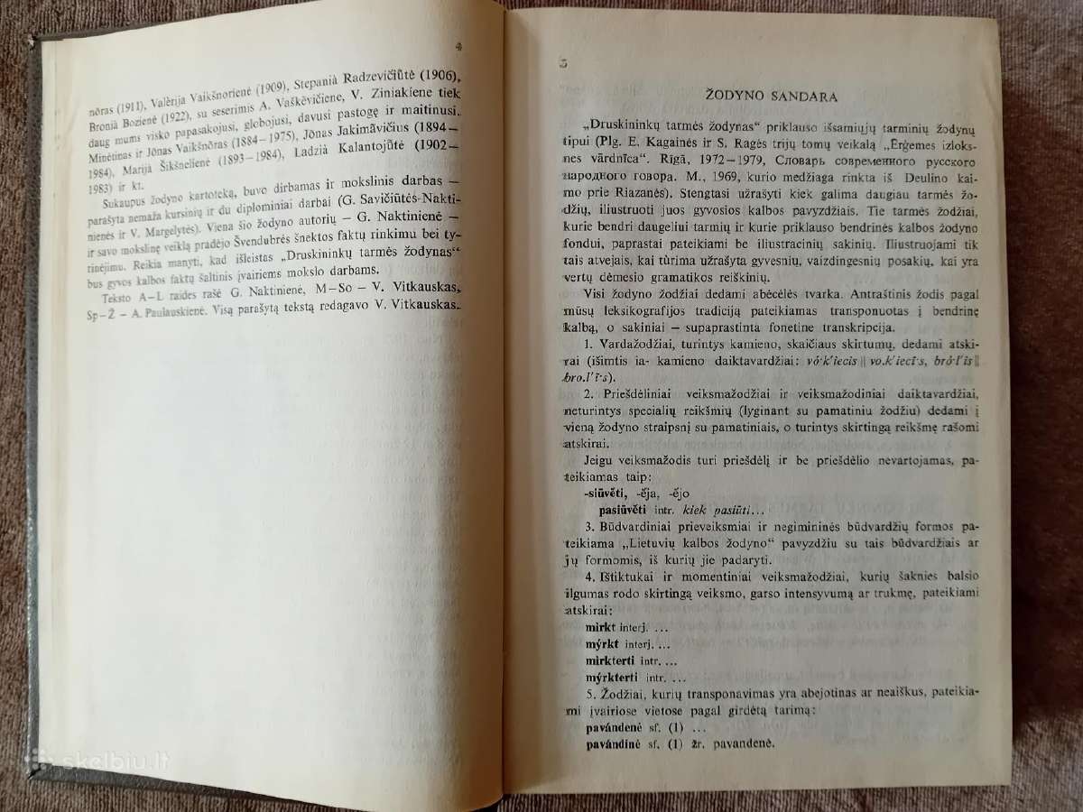 Druskininkų tarmės žodynas - nuotraukos Nr. 5