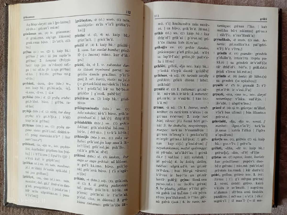 Druskininkų tarmės žodynas - nuotraukos Nr. 7