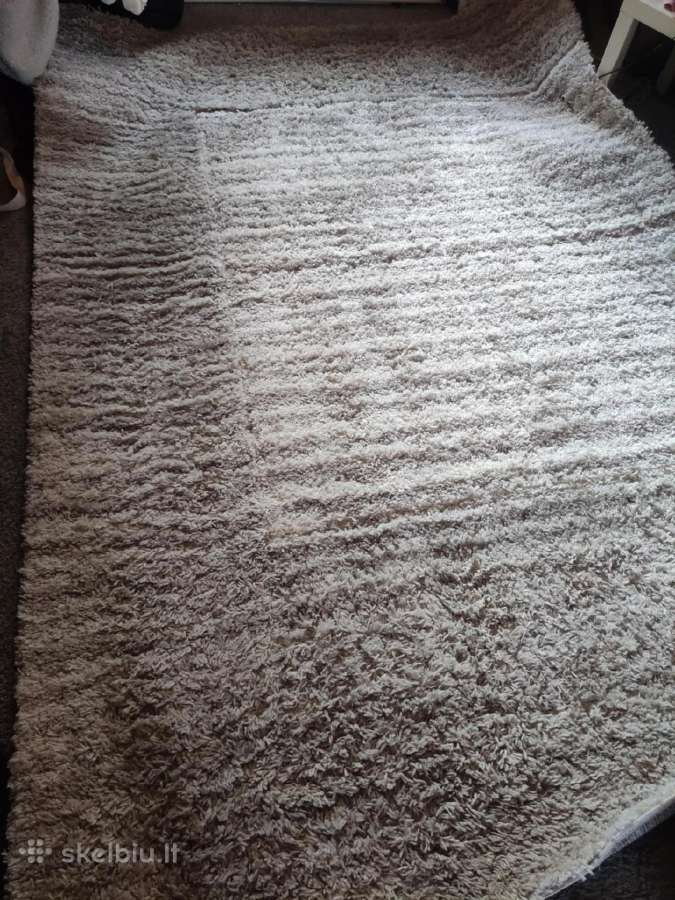 Kilimas Domoletti Lila Shag 725 - E, 280 cm x 190