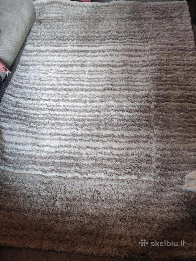 Kilimas Domoletti Lila Shag 725 - E, 280 cm x 190 - nuotraukos Nr. 2