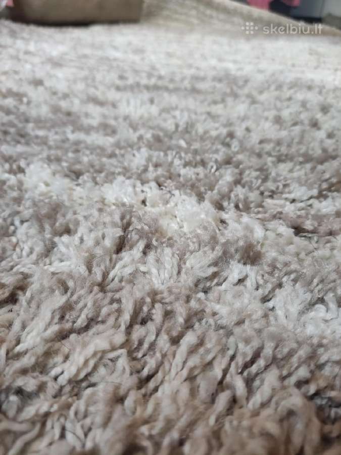 Kilimas Domoletti Lila Shag 725 - E, 280 cm x 190 - nuotraukos Nr. 3