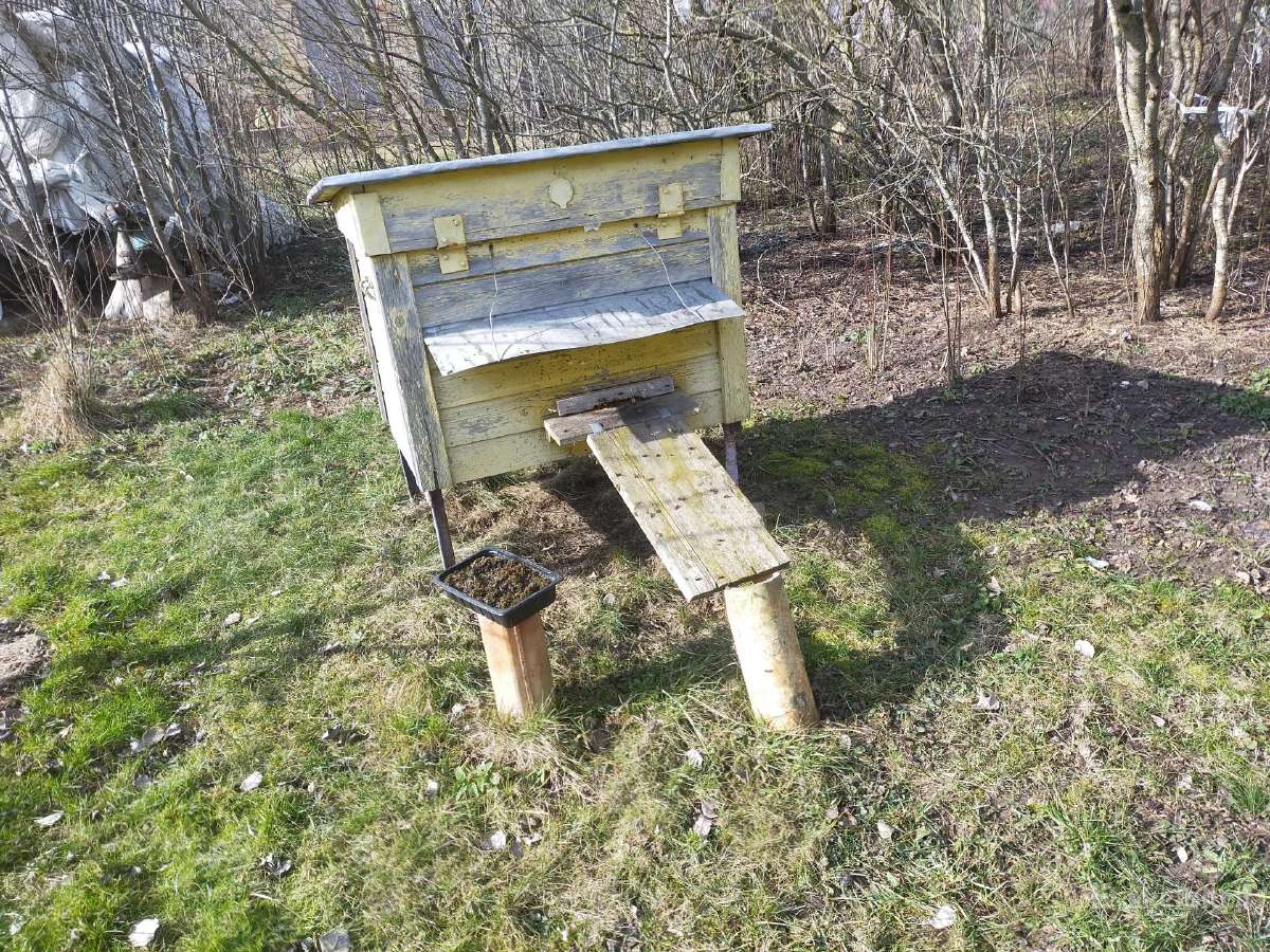 Aviliai-medus,medsukiai skubiai-labai pigiai - nuotraukos Nr. 5