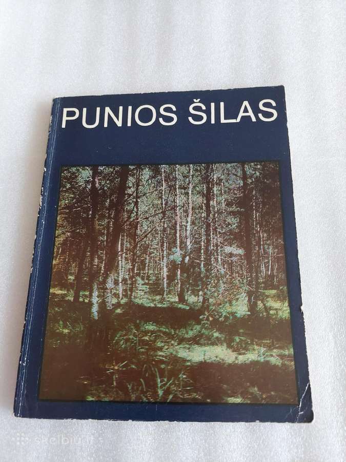 Punios šilas