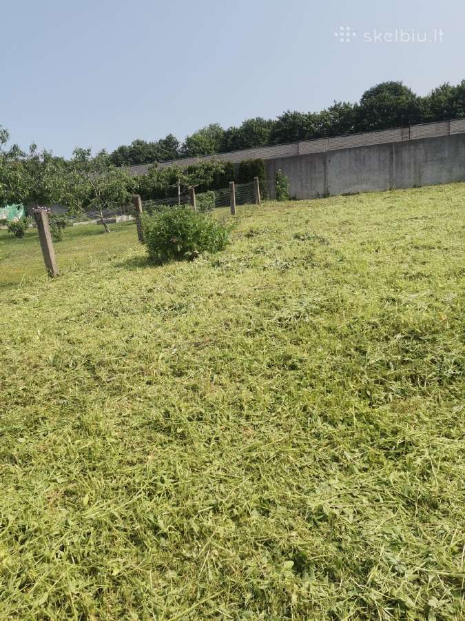 Žolės pjovimas trimeriu ir su žoliapjove. - nuotraukos Nr. 20
