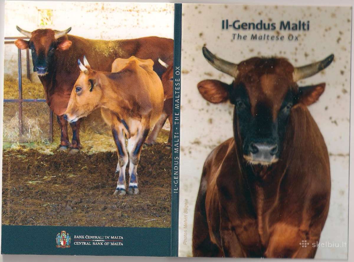 2 euro moneta Malta 2025 Jautis Il Gendus Malti Bu - nuotraukos Nr. 4
