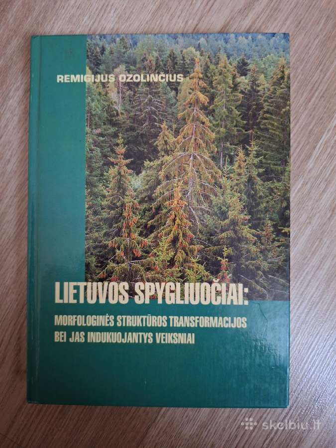 Lietuvos spygliuočiai: morfologinės struktūros