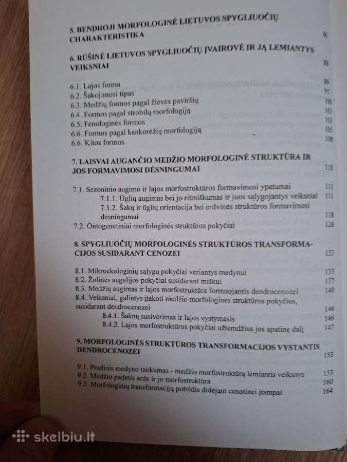 Lietuvos spygliuočiai: morfologinės struktūros - nuotraukos Nr. 3