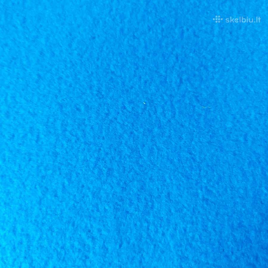 Pledas 130180 - nuotraukos Nr. 2
