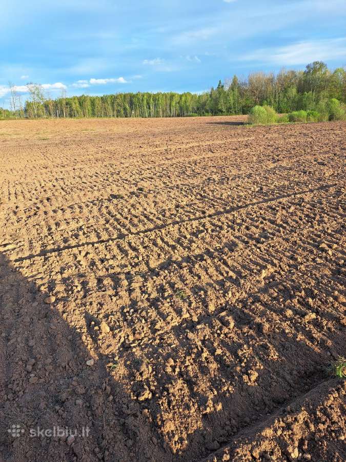 23 ha žemės nuoma - nuotraukos Nr. 2