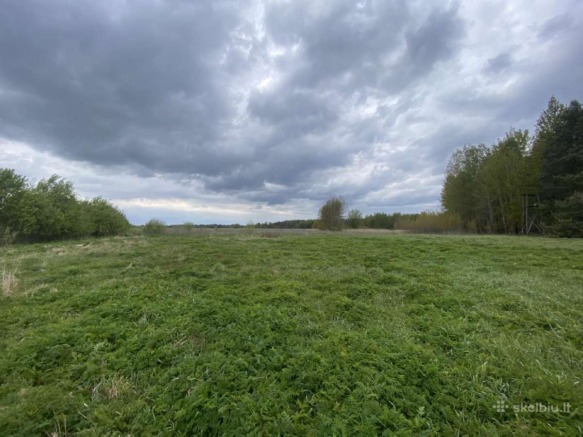 Parduodamas 4 ha žemės ūkio paskirties sklypas - nuotraukos Nr. 2