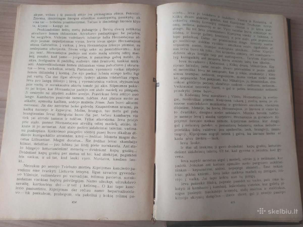 Petras Dirgėla "Joldijos jūra" (1 knyga) - nuotraukos Nr. 9