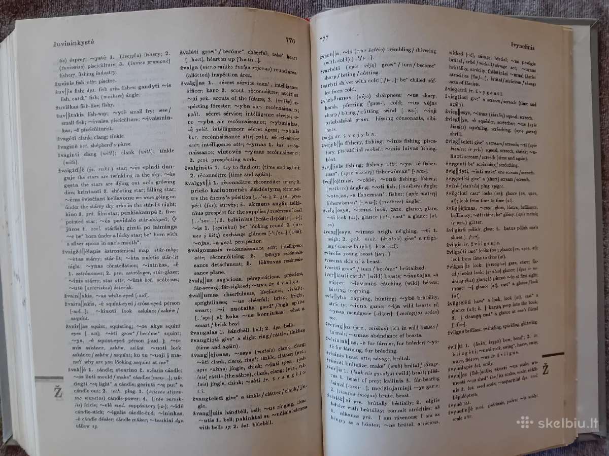 Lietuvių-anglų kalbų žodynas (50.000 žodžių) - nuotraukos Nr. 11
