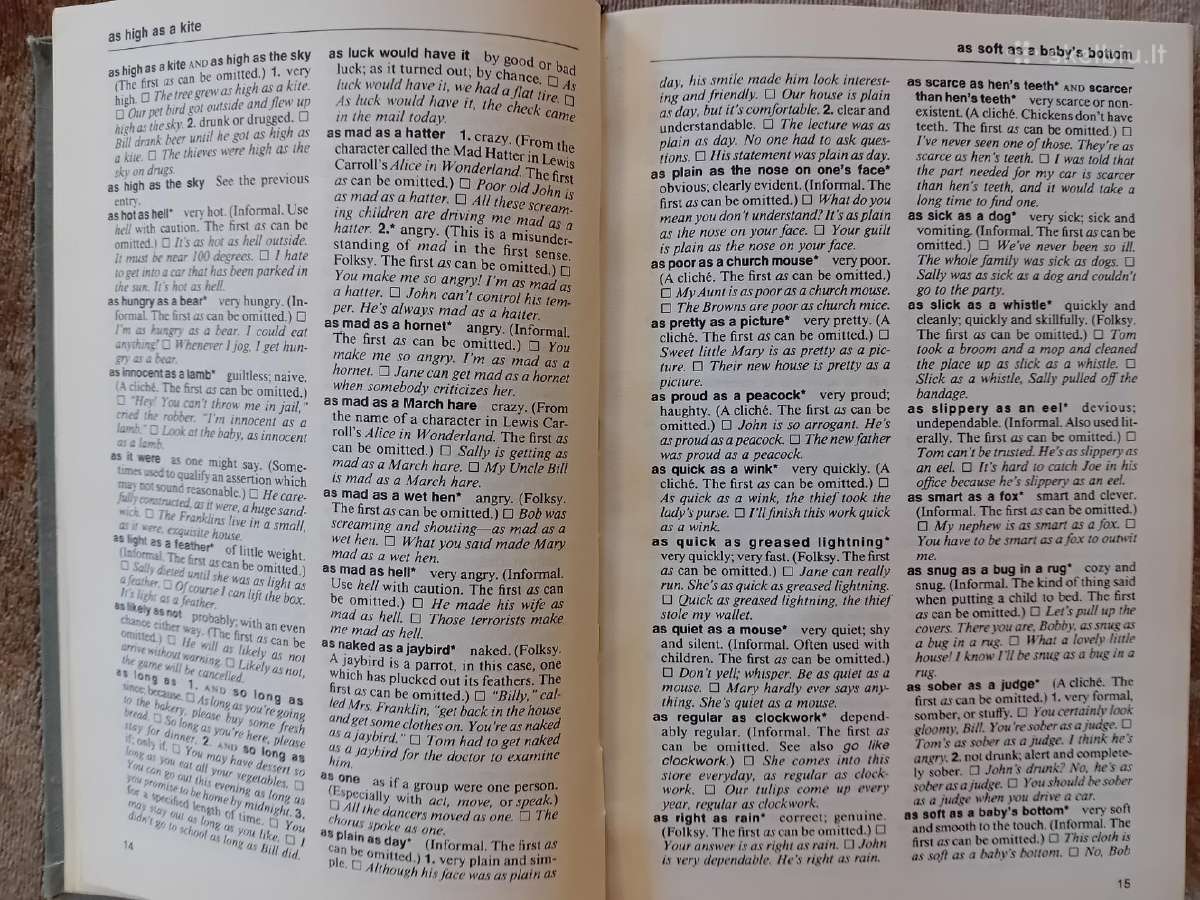 American Idioms Dictionary, Maskva, 1991 - nuotraukos Nr. 7