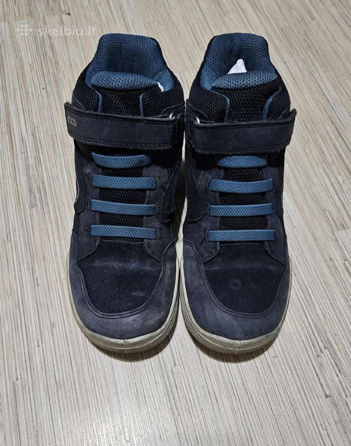 Ecco Biom Voyage - nuotraukos Nr. 2