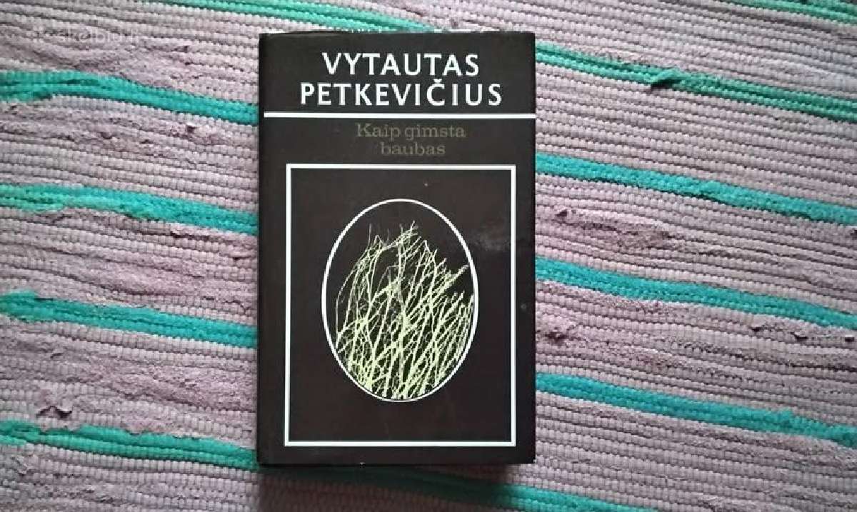 Kaip gimsta baubas Vytautas Petkevičius