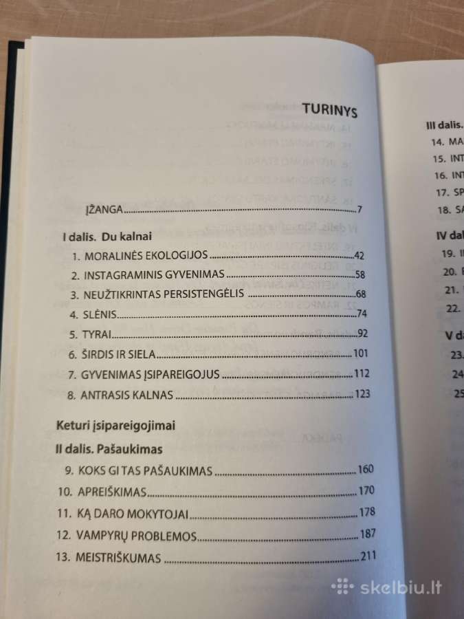 Kitas kalnas - nuotraukos Nr. 3