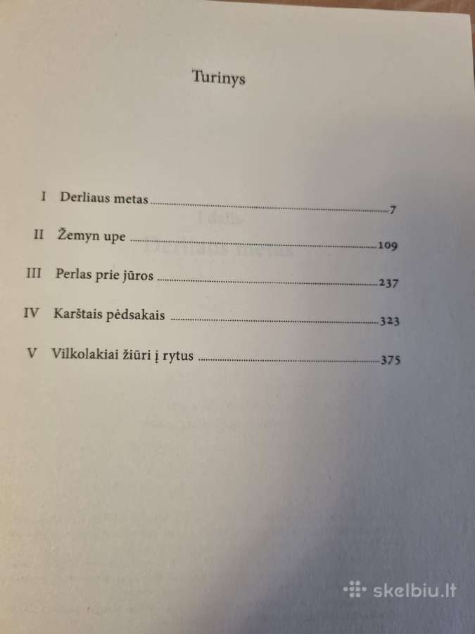 Ukrainos tridantis Prie bedugnės - nuotraukos Nr. 3